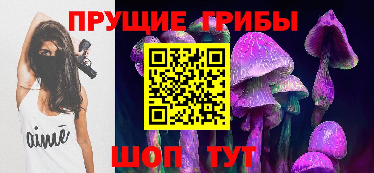 Псилоцибиновые грибы мицелий  Вход с VPN  Кинель 